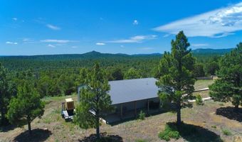 22010 Steffi Dr, Aguilar, CO 81020
