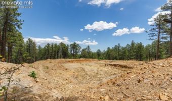 8719 Ponderosa Pine Dr, Beulah, CO 81023
