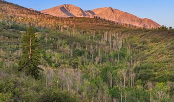 Old Herron Road lot 48, Basalt, CO 81621