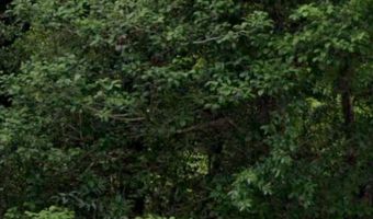 0 Byrnes Lake Rd, Bay Minette, AL 36507