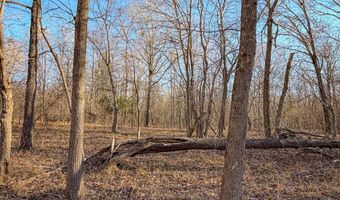 Farris Rd, Atoka, OK 74525
