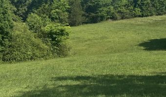19 27 Acres County Road 656, Anderson, AL 35610