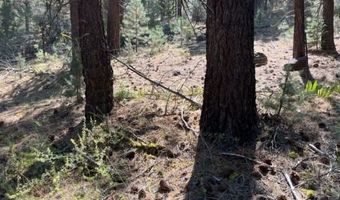 002 Ash Vly, Adin, CA 96006