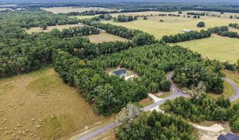 4899 36th St, Bell, FL 32619