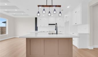 1027 Broken Arrow Dr, Alamo, TX 78516