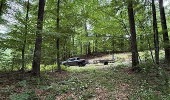 9999 Countryside Est, Barnardsville, NC 28709