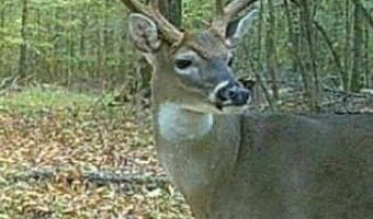 1 8 Miles Due South Down Anding Oil City Rd, Bentonia, MS 39040