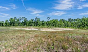 Chad Lake Rd, Alma, GA 31510