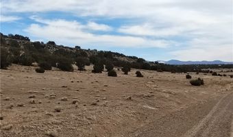 15 County Rd N8641, Concho, AZ 85924