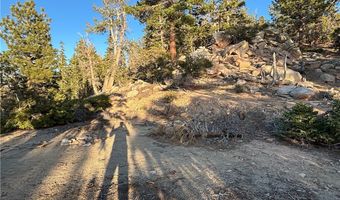 Ironwood, Angelus Oaks, CA 92305