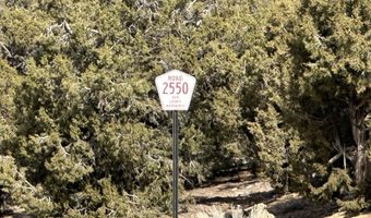 County Road 2550, Aztec, NM 87410