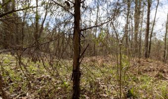 Tbd Pump Station Rd, Ashdown, AR 71822