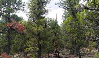 Blue water, Bluewater, NM 87005