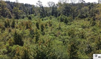 MILTON WHITE ROAD, Bastrop, LA 71220