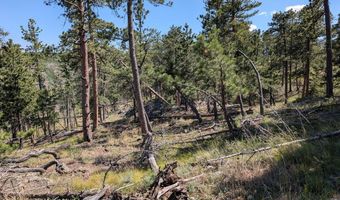Old Camp Rd, Bellvue, CO 80512