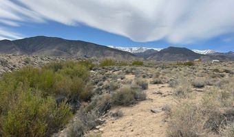 740 CHIATOVICH CREEK Rd, Dyer, NV 89010