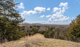 Smithtown Road, Afton, TN 37616