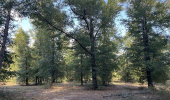 7958 NW County Rd 274, Altha, FL 32421