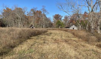000 Tbd County Rd T-541, Ava, MO 65608