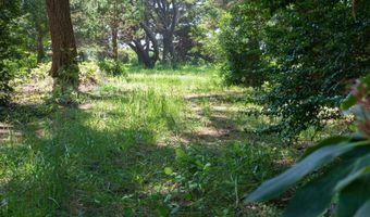 88677 WHITING Ln, Bandon, OR 97411