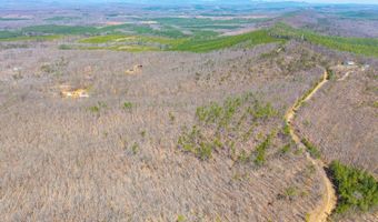 Larkin Mountain, Amherst, VA 24521