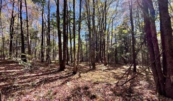 1235 White Hill Rd, Alma, NY 14715