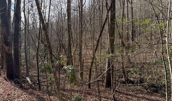 135 49ac Webb Creek Rd, Andrews, NC 28901