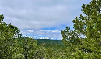 Lot 5 Holmes Road, Cotopaxi, CO 81223