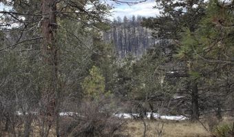 Jaguar Lane Lot 7 & 8, Bonanza, OR 97623