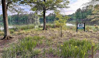 139 Willowood Cove Rd, Chapin, SC 29036