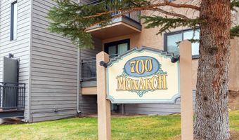 700 S Monarch St 207, Aspen, CO 81611
