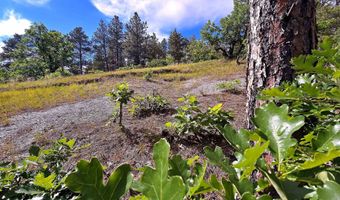 3159 Mona Rd, Aladdin, WY 82710
