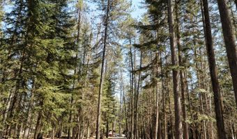 518 Eastman Dr, Bigfork, MT 59911