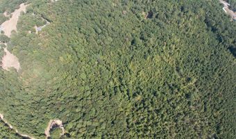 Cr 816, Blue Mountain, MS 38610
