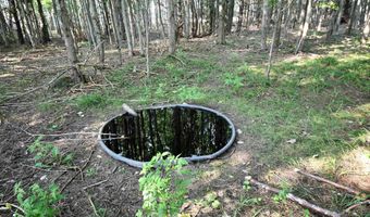 9537 LAKEVIEW Rd, Alanson, MI 49706