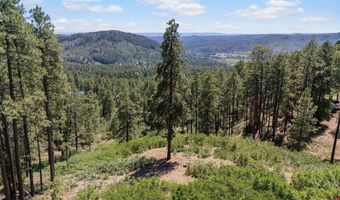 220 Hilltop Dr, Bayfield, CO 81122