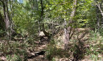 Tract 51 Highway 2, Antlers, OK 74523