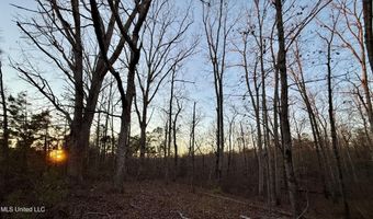 Tall Pines Road, Ashland, MS 38603