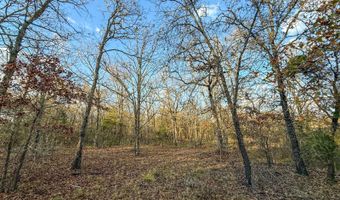 8667 W Hardwood Rd, Atoka, OK 74525