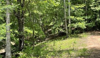 21 Collett Woods Trl Lot #21, Andrews, NC 28901