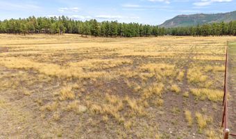3 County Rd. N2157 Parcel 3, The Meadows Edge, Alpine, AZ 85920