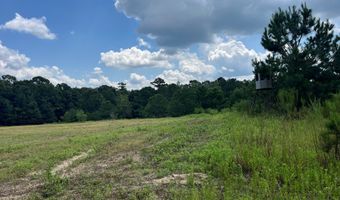 TBD County Road 40, Abbeville, AL 36310