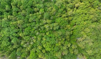Map 15 Lot 60 Brynn Lane lot 60, Alton, NH 03809