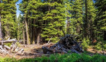 8735 Bering Rd, Alturas, CA 96101