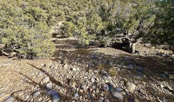 CR 2550 Road, Aztec, NM 87410