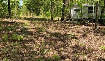 0 County Road 224, Alton, MO 65606