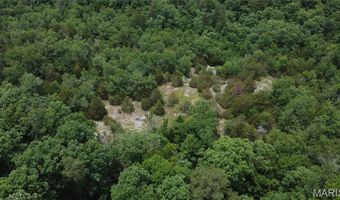 13 Hidden Vly Lks, Annapolis, MO 63620