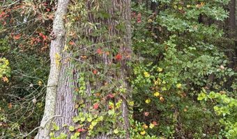 BLACK SWAMP ROAD, Felton, DE 19943