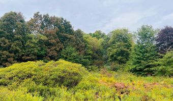 213 Patterson Creek Dr, Alderson, WV 24910