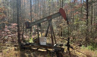 523 Honey Creek Loop Rd, Allardt, TN 38504
